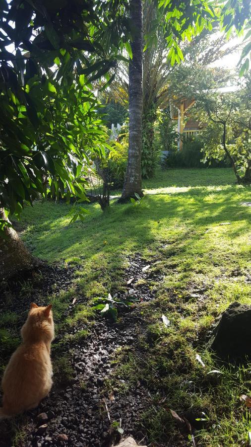 Vacances Bien Etre Guadeloupe 부이영뜨 외부 사진