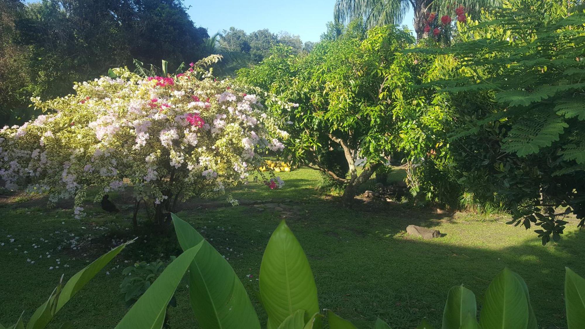 Vacances Bien Etre Guadeloupe 부이영뜨 외부 사진