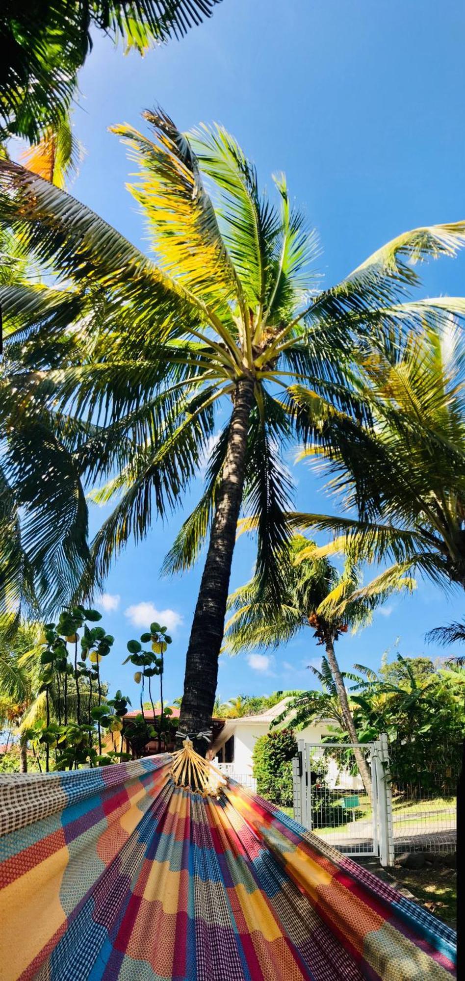Vacances Bien Etre Guadeloupe 부이영뜨 외부 사진